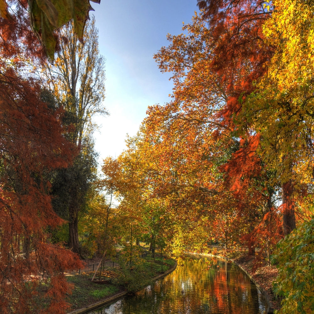 Remèdes naturels automne hiver