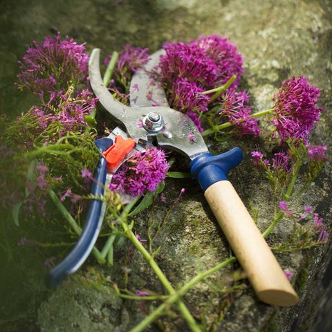 Accessoires pour le jardin - Coutume