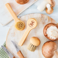 Brosse à champignons redecker