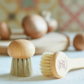 Brosse à champignons redecker