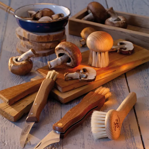 Brosse à champignons redecker