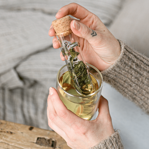 Infuseur en verre