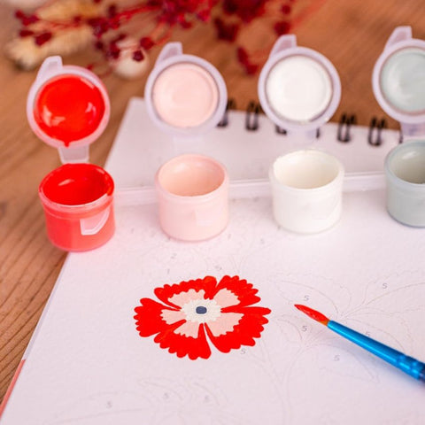 Peinture aux numéros - Fleurs des champs