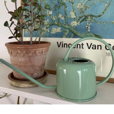 Arrosoir 0,9L - Vert sauge