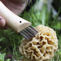 Couteau à champignon n°8 Opinel